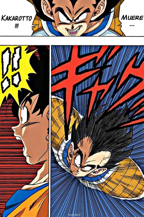 dragon ball vs manga